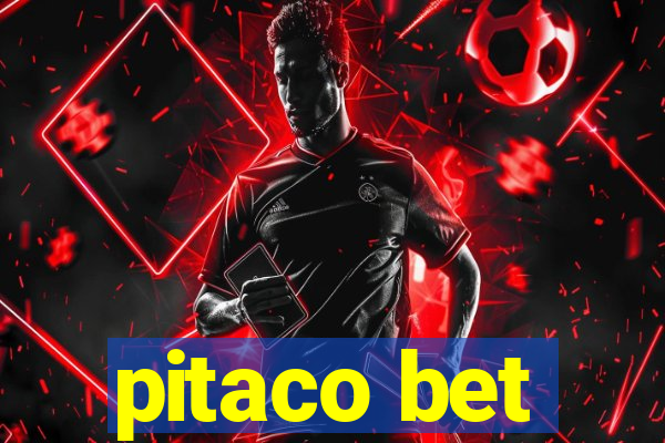 pitaco bet